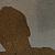 Sanderjong